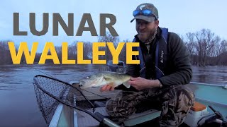 Lunar Walleye - Targeting Spring Run Walleye During Full Moon | Prespawn Mississippi River Walleye