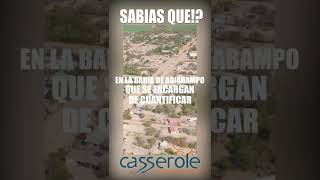 ¿Conocías Agiabampo, Sonora?🇲🇽