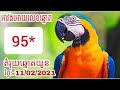 #សូមមេត្តាជួយចុចជាវ_subscribeផងបាទ តំរុយឆ្នោតយួនច្បាស់ៗត្រូវៗ100% ថ្ងៃទី11/02/2021