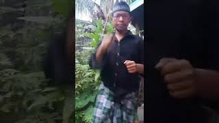 Lagu Jogetnona Jazirah 