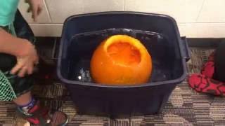 Does the pumpkin sink or float