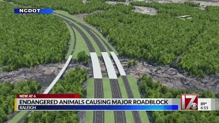 $4 million used to rehouse endangered animals in path of I-540 extension project