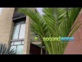 SecondWave Recycling - Overview Video