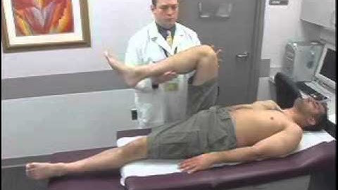 Hamstring Flexibility Testing