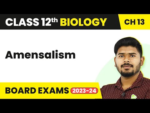 Class 12 Biology Chapter 13 | Amensalism - Organisms and Populations