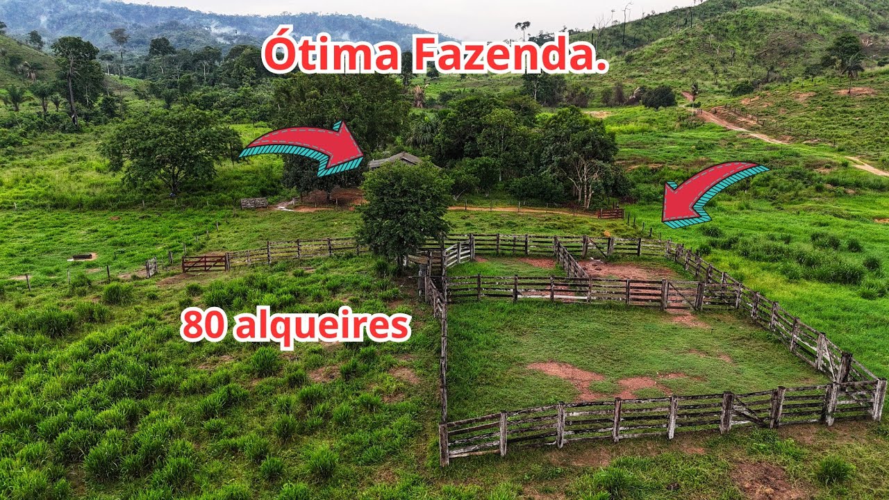Fazenda muito boa a venda em São Félix do xingu Pará.  a 57 km da cidade.  80 alqueires