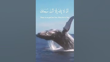 وَذَا النُّونِ إِذْ ذَهَبَ مُغَاضِبًا قرآن كريم من سورة الأنبياء القارئ أحمد خضر