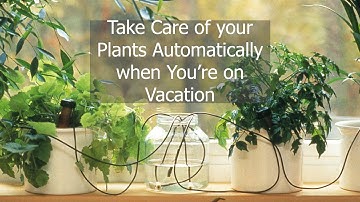 Blumat Classic Set Up