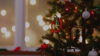 Christmas Moment - Bluma Petersen 🎄 Classic christmas music