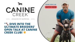 'Drooling over Canine Creek Club: Breeders' Open Talk! #CanineCreek #Drools'