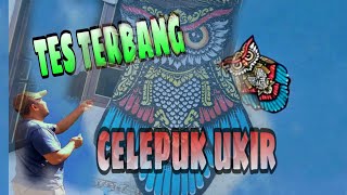 TES TERBANG LAYANGAN CELEPUK PLASTIK ukir// making owl kitrs /putu leonx46