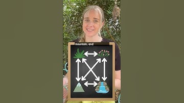 Category Theory explained Bob Ross style