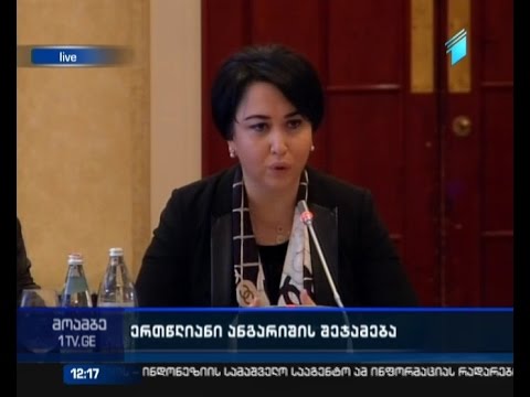 ადამიანის უფლებათა კომიტეტის ერთი წლის საქმიანობა - ბესელიას ანგარიში