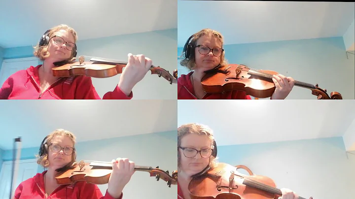 Vivaldi Double Violin Concerto in A Minor - orchestral parts for practice only