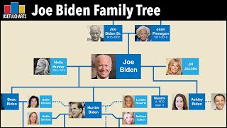 Joe Biden Family Tree | Next President of the United States
