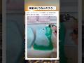 新品みたいになるの感動 #すごい #おもしろ #バズれ #おすすめ #おもしろ動画 #shorts #海外