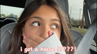 I got my first horse a second try this is for real this time !