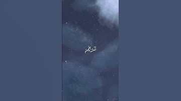 #هيثم_الدخين #سورة_فاطر 📻 #قران_كريم #قران #تلاوة_هادئة_ومريحة #القران_الكريم_راحه_نفسية 