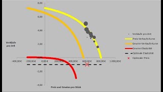 Price optimisation with the help of price elasticity (English subtitles available)