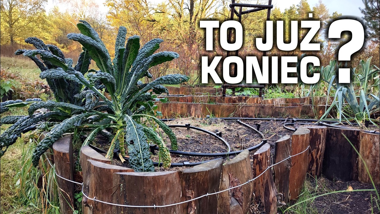 Nie tak miało się skończyć... Wykończyło nasz ogród