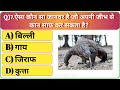 GK Question || GK In Hindi || GK Question and Answer || GK Quiz ||