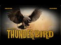What is the thunder bird