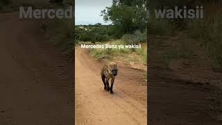 Mercedes Benz ya wakisii