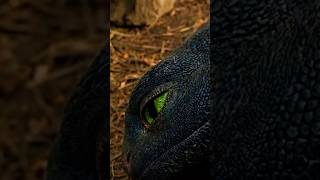 Ejderhanı Nasıl Eğitirsin 2025 Filmi Fragman İncelemesi Gecenin Öfkesi Yeni Özellik Kazanmış