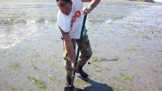 How to dig a geoduck ...part 1