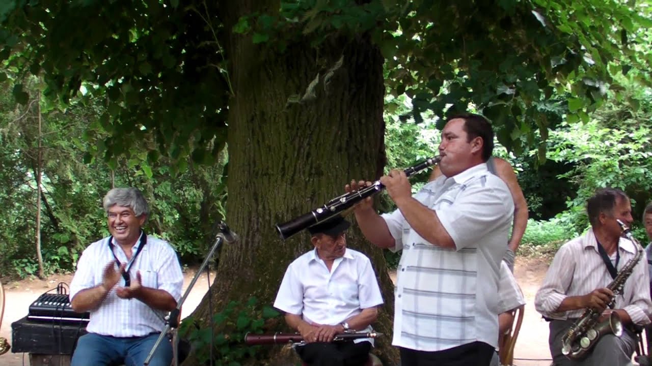 Intalnirea muzicantilor sub tei la Macea 5/7