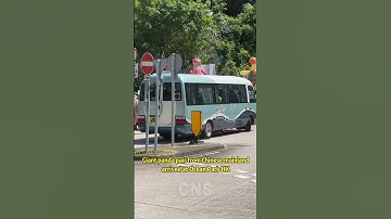 Cuteness alert! Giant panda pair arrives in Hong Kong