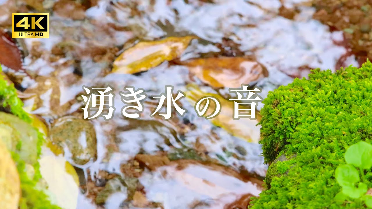 【自然の音BGM】泉のほとり 4K ASMR 清らかな湧き水の音 3h