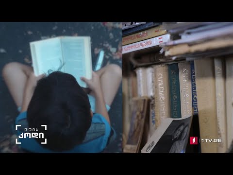 დღისკოდი უწიგნურობის პრობლემა საქართველოში #LIVE