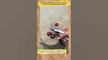 Chestnut Shelling Tool: A Clever Trick for Easy Nut Removal  #EngineeredEffort