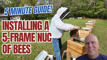 Beginner Friendly 5 Minute Guide to Installing a Bee Nuc Successfully