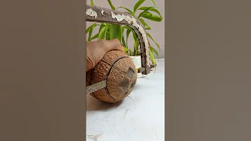 how to make coconut shell hanging plant Pot || #Shortsfeed #diy #youtubeshorts #shorts