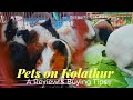 Birds and Pets Becoming Popular in Kolathur Market...