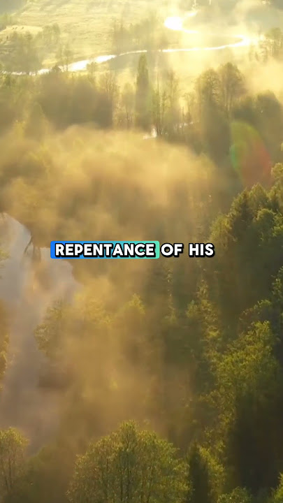 Beautiful Hadith  | #shorts #youtubeshorts #shortsfeed #hadith #viral