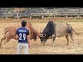 Nyuj Xaka Vs Nyuj Tshaj Plaw 22 6 2025 Nyujej Nyujtxawjkub Nyujsibnraus ว วชน Nyuj Xaka Vs Nyuj Tshaj Plaw 22 6 2025 Nyujej Nyujtxawjkub Nyujsibnraus ว วชน