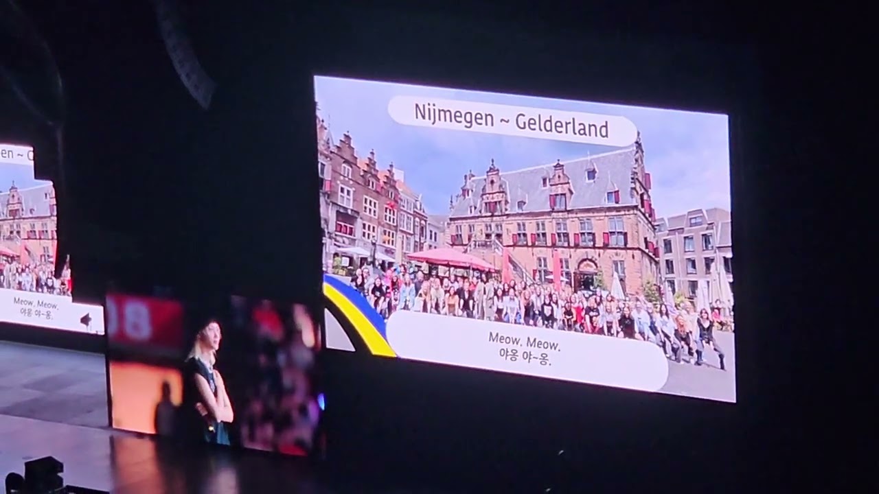 SKZ Netherlands FanProject, Members reaction - Stray Kids (Amsterdam 11.07., dominATE Tour '25)