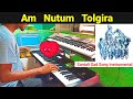 Am nutum tolgira santali song instrumental cover by jituhansda  sushanta musical group