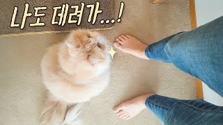 DD Won't Let Me Leave My House! (ENG SUB)