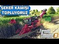 FARMING SIMULATOR 19 // ŞEKER KAMIŞI TOPLUYORUZ !! #10