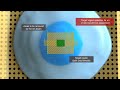 Preparation of cells for cryo-electron tomography