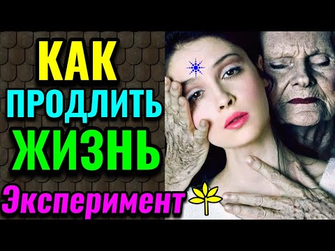 Как продлить жизнь и сохранить молодость, сократив калорийность / Как я похудела на 94 кг