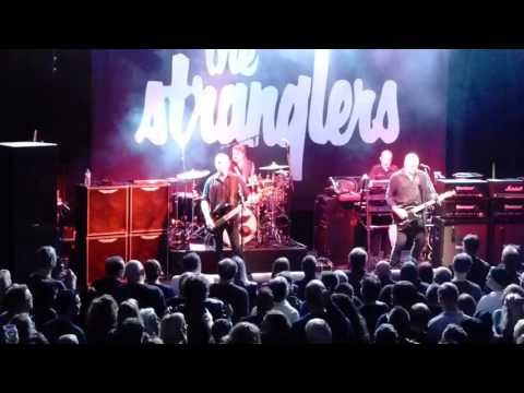 The Stranglers @ Cologne, Bürgerhaus Stollwerck - 17.11.2015 - No More Heroes