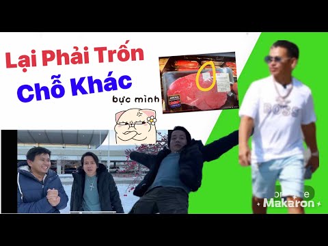 Video: Tôi đã Gợi ý Cho Anh ấy Rồi, Anh ấy Phải Tự đoán Ra