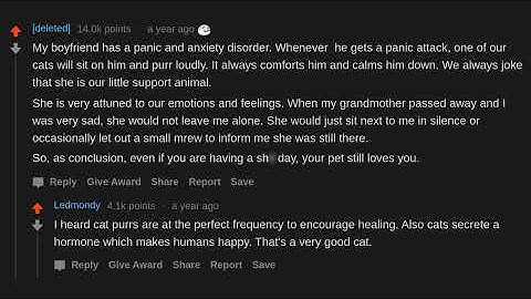 What Are Some VERY Comforting Facts? (r/AskReddit)