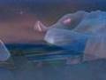 Coração Vagabundo-Toots Thielemans Caetano Veloso-Animation