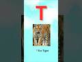 T for Tiger 🐅 | ABC Learning for Kids #Shorts